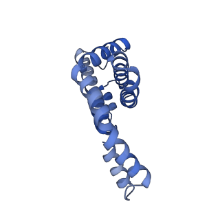 25028_7sc7_CD_v1-2
Synechocystis PCC 6803 Phycobilisome core from up-down rod conformation