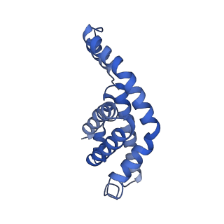 25028_7sc7_CE_v1-2
Synechocystis PCC 6803 Phycobilisome core from up-down rod conformation