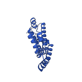 25028_7sc7_CG_v1-2
Synechocystis PCC 6803 Phycobilisome core from up-down rod conformation