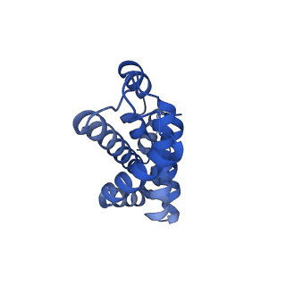 25028_7sc7_CP_v1-2
Synechocystis PCC 6803 Phycobilisome core from up-down rod conformation