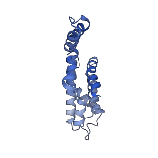 25028_7sc7_CR_v1-2
Synechocystis PCC 6803 Phycobilisome core from up-down rod conformation