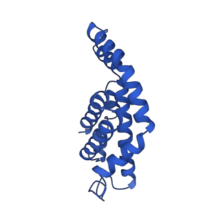25028_7sc7_CU_v1-2
Synechocystis PCC 6803 Phycobilisome core from up-down rod conformation