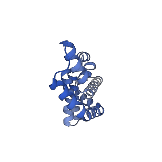 25028_7sc7_CW_v1-2
Synechocystis PCC 6803 Phycobilisome core from up-down rod conformation