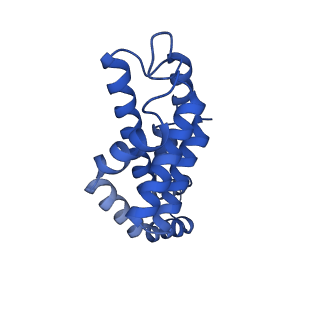 25028_7sc7_CX_v1-2
Synechocystis PCC 6803 Phycobilisome core from up-down rod conformation