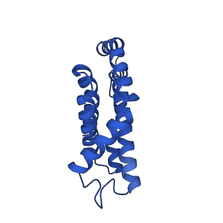 25028_7sc7_CY_v1-2
Synechocystis PCC 6803 Phycobilisome core from up-down rod conformation