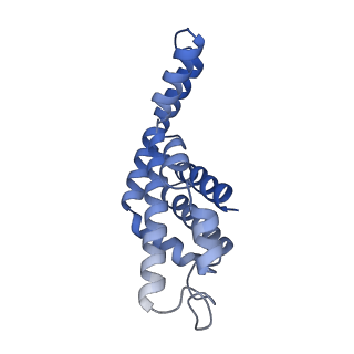 25028_7sc7_DB_v1-2
Synechocystis PCC 6803 Phycobilisome core from up-down rod conformation