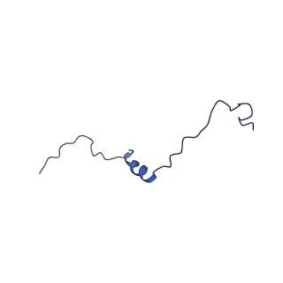 25028_7sc7_DE_v1-2
Synechocystis PCC 6803 Phycobilisome core from up-down rod conformation