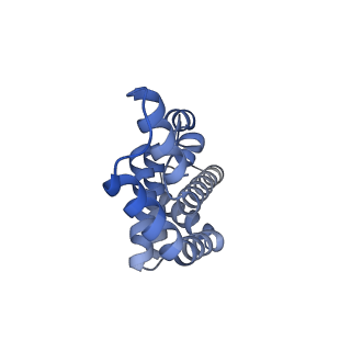 25028_7sc7_DG_v1-2
Synechocystis PCC 6803 Phycobilisome core from up-down rod conformation