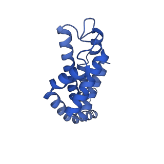 25028_7sc7_DH_v1-2
Synechocystis PCC 6803 Phycobilisome core from up-down rod conformation