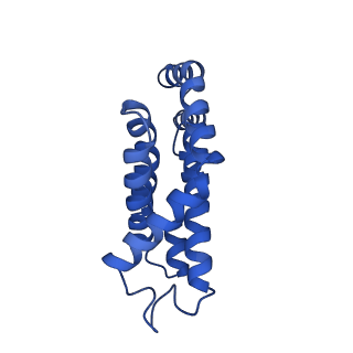 25028_7sc7_DI_v1-2
Synechocystis PCC 6803 Phycobilisome core from up-down rod conformation