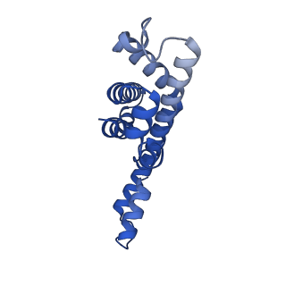 25028_7sc7_DK_v1-2
Synechocystis PCC 6803 Phycobilisome core from up-down rod conformation