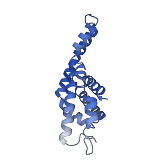 25028_7sc7_DL_v1-2
Synechocystis PCC 6803 Phycobilisome core from up-down rod conformation
