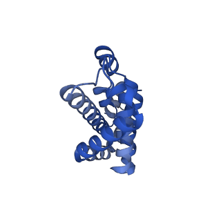 25028_7sc7_DN_v1-2
Synechocystis PCC 6803 Phycobilisome core from up-down rod conformation