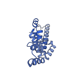 25028_7sc7_DO_v1-2
Synechocystis PCC 6803 Phycobilisome core from up-down rod conformation