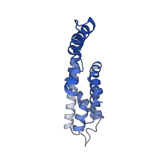 25028_7sc7_DP_v1-2
Synechocystis PCC 6803 Phycobilisome core from up-down rod conformation