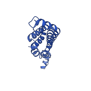 25028_7sc7_DQ_v1-2
Synechocystis PCC 6803 Phycobilisome core from up-down rod conformation