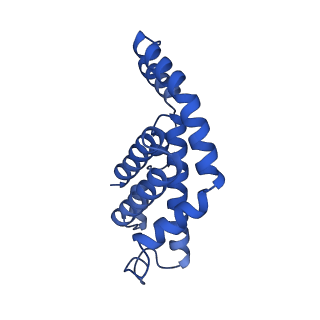25028_7sc7_DS_v1-2
Synechocystis PCC 6803 Phycobilisome core from up-down rod conformation