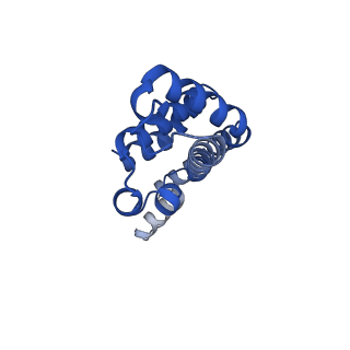 25030_7sc9_AJ_v1-2
Synechocystis PCC 6803 Phycobilisome core, complex with OCP