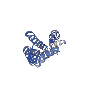 25030_7sc9_AL_v1-2
Synechocystis PCC 6803 Phycobilisome core, complex with OCP