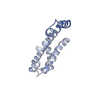 25030_7sc9_AN_v1-2
Synechocystis PCC 6803 Phycobilisome core, complex with OCP