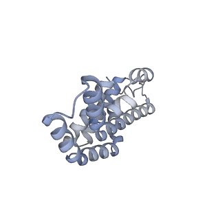 25030_7sc9_AV_v1-2
Synechocystis PCC 6803 Phycobilisome core, complex with OCP
