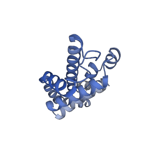 25030_7sc9_AW_v1-2
Synechocystis PCC 6803 Phycobilisome core, complex with OCP