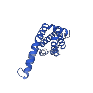 25030_7sc9_AY_v1-2
Synechocystis PCC 6803 Phycobilisome core, complex with OCP