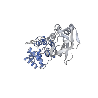 25030_7sc9_BH_v1-2
Synechocystis PCC 6803 Phycobilisome core, complex with OCP