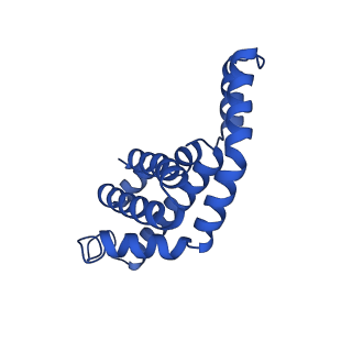 25030_7sc9_BQ_v1-2
Synechocystis PCC 6803 Phycobilisome core, complex with OCP