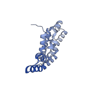 25030_7sc9_BS_v1-2
Synechocystis PCC 6803 Phycobilisome core, complex with OCP