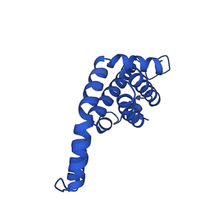 25030_7sc9_BY_v1-2
Synechocystis PCC 6803 Phycobilisome core, complex with OCP