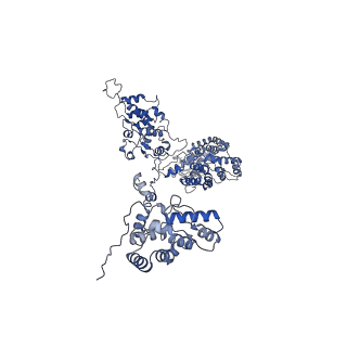 25030_7sc9_CM_v1-2
Synechocystis PCC 6803 Phycobilisome core, complex with OCP