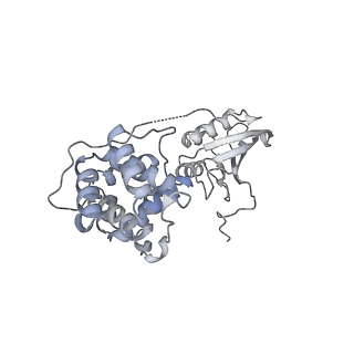 25030_7sc9_DI_v1-2
Synechocystis PCC 6803 Phycobilisome core, complex with OCP