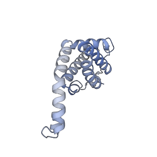25030_7sc9_DK_v1-2
Synechocystis PCC 6803 Phycobilisome core, complex with OCP