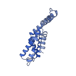 25030_7sc9_DM_v1-2
Synechocystis PCC 6803 Phycobilisome core, complex with OCP