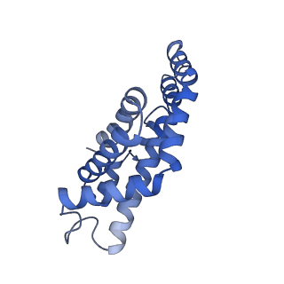 25032_7scb_AA_v1-2
B-cylinder of Synechocystis PCC 6803 Phycobilisome, complex with OCP - local refinement