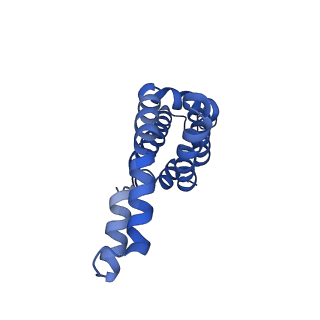 25032_7scb_AB_v1-2
B-cylinder of Synechocystis PCC 6803 Phycobilisome, complex with OCP - local refinement