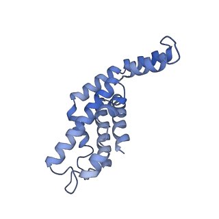 25032_7scb_AD_v1-2
B-cylinder of Synechocystis PCC 6803 Phycobilisome, complex with OCP - local refinement