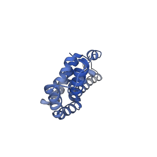 25032_7scb_AE_v1-2
B-cylinder of Synechocystis PCC 6803 Phycobilisome, complex with OCP - local refinement