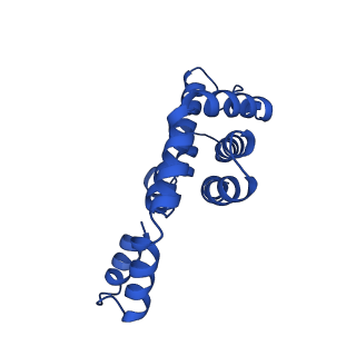 25032_7scb_AH_v1-2
B-cylinder of Synechocystis PCC 6803 Phycobilisome, complex with OCP - local refinement