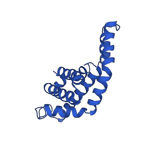 25032_7scb_AI_v1-2
B-cylinder of Synechocystis PCC 6803 Phycobilisome, complex with OCP - local refinement