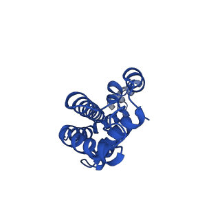 25032_7scb_AJ_v1-2
B-cylinder of Synechocystis PCC 6803 Phycobilisome, complex with OCP - local refinement