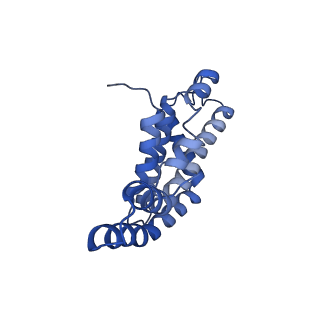 25032_7scb_AK_v1-2
B-cylinder of Synechocystis PCC 6803 Phycobilisome, complex with OCP - local refinement