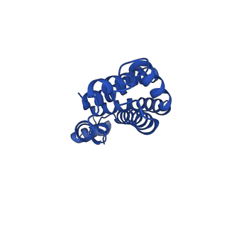 25032_7scb_AL_v1-2
B-cylinder of Synechocystis PCC 6803 Phycobilisome, complex with OCP - local refinement