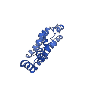 25032_7scb_AN_v1-2
B-cylinder of Synechocystis PCC 6803 Phycobilisome, complex with OCP - local refinement