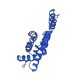 25032_7scb_AP_v1-2
B-cylinder of Synechocystis PCC 6803 Phycobilisome, complex with OCP - local refinement