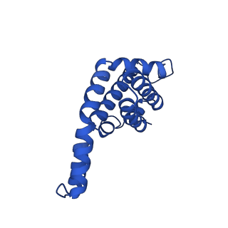 25032_7scb_AQ_v1-2
B-cylinder of Synechocystis PCC 6803 Phycobilisome, complex with OCP - local refinement