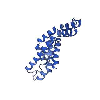 25032_7scb_AS_v1-2
B-cylinder of Synechocystis PCC 6803 Phycobilisome, complex with OCP - local refinement