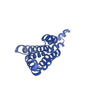 25032_7scb_AU_v1-2
B-cylinder of Synechocystis PCC 6803 Phycobilisome, complex with OCP - local refinement