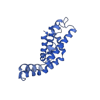 25032_7scb_AV_v1-2
B-cylinder of Synechocystis PCC 6803 Phycobilisome, complex with OCP - local refinement